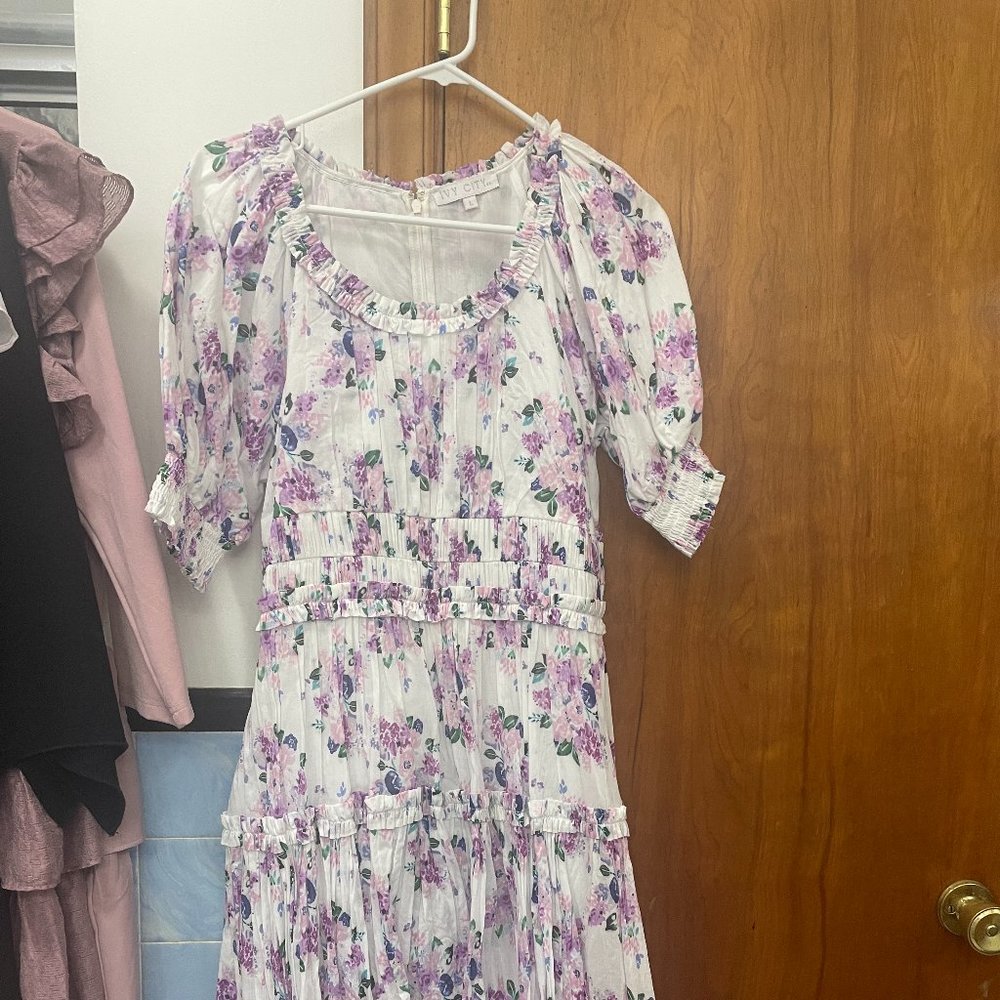 Ivy City Co - Ellora Dress
